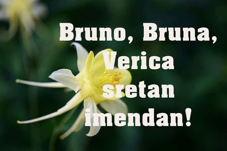 -Bruno, Bruna, Verica