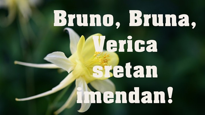 -Bruno, Bruna, Verica