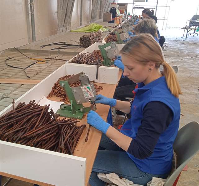 Novi život starih plemki4.jpg