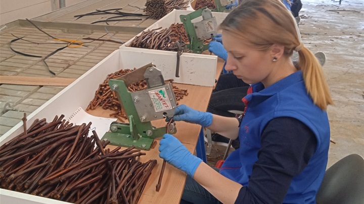 Novi život starih plemki4.jpg