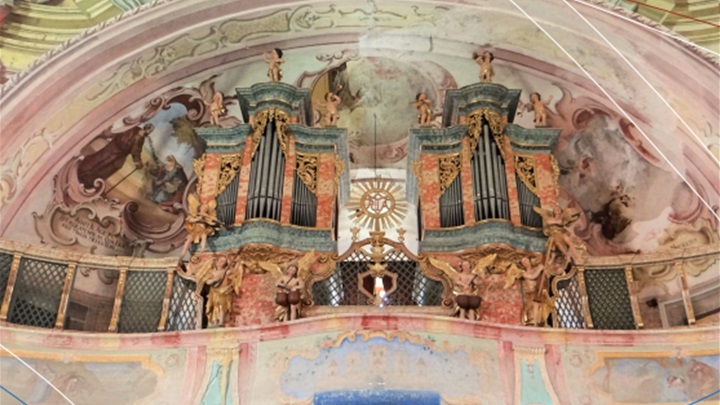 Orgulje Heferer_Trški Vrh.png