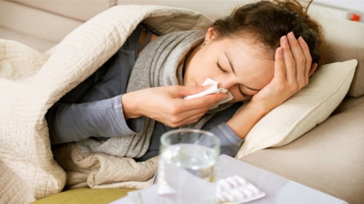 gripa i korona (1).png