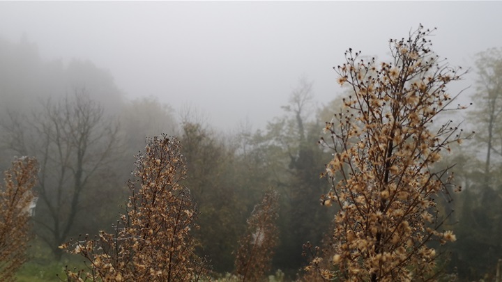 vrijeme jesen magla (7).jpg