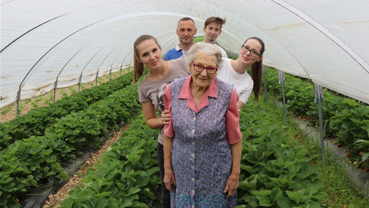 glavna opg koren.jpg