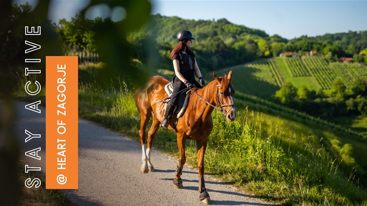 Stay Active (1) (2).jpg