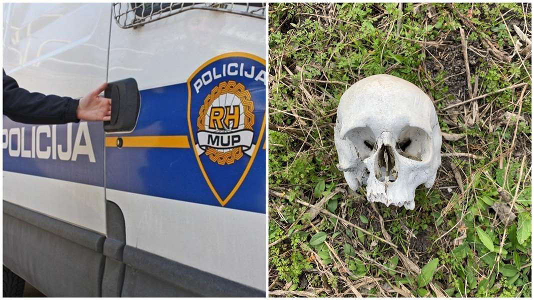 FotoJet - 2023-04-30T112545.289.jpg