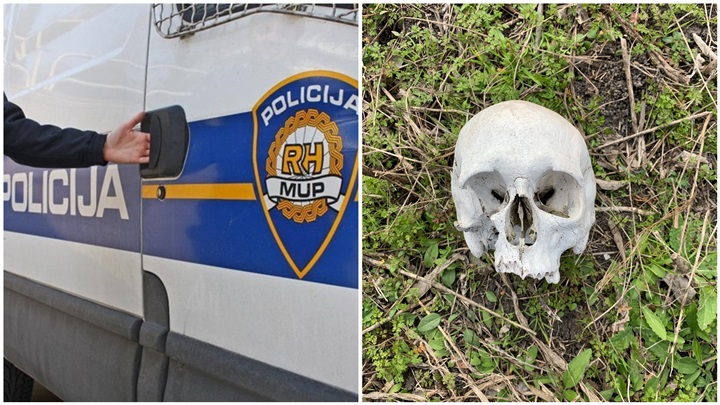 FotoJet - 2023-04-30T112545.289.jpg