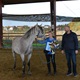 Centar 'Ritam s konjem' danas je organizirao utrku daljinskog jahanja na 20 kilometara