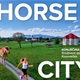 U subotu u Konjščini drugi po redu Horse City Trail 2023, za najbolje su osigurane vrijedne nagrade