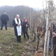 Mihovljanski vinari obilježili Vincekovo u vinogradu Zlatka Bartolića