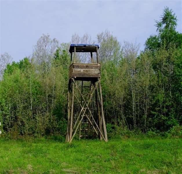 foto ilustracija.jpg