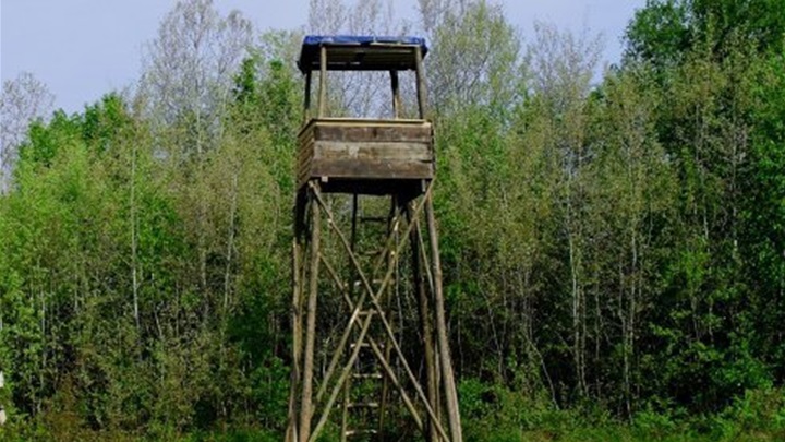 foto ilustracija.jpg