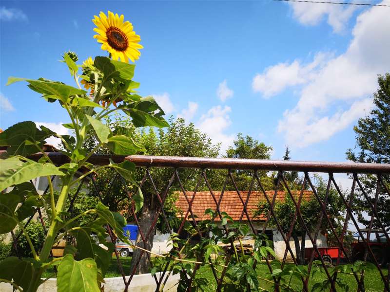 Ljeto prognoza sunce sunčano