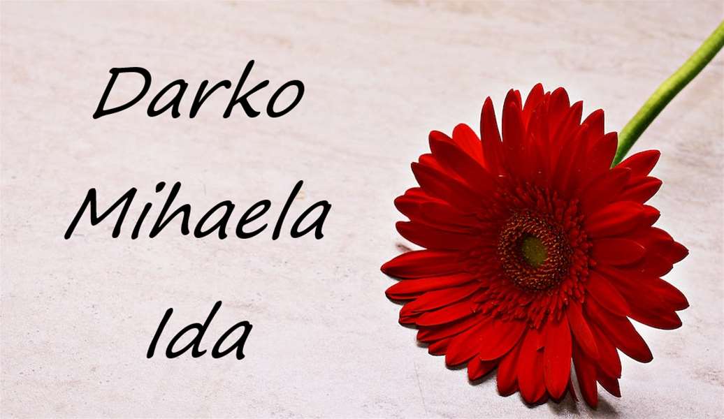 darko mihalea ida.png