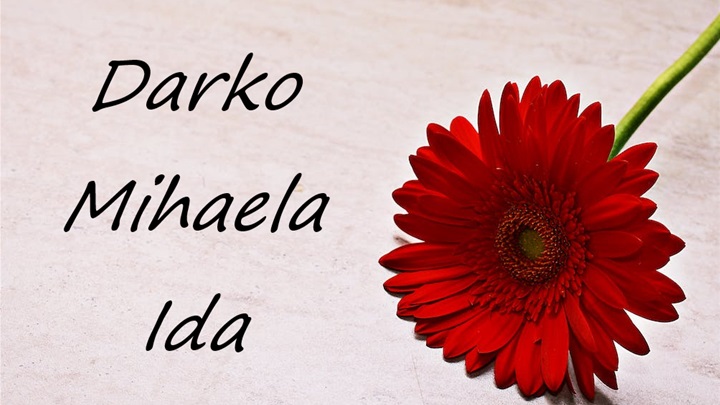 darko mihalea ida.png