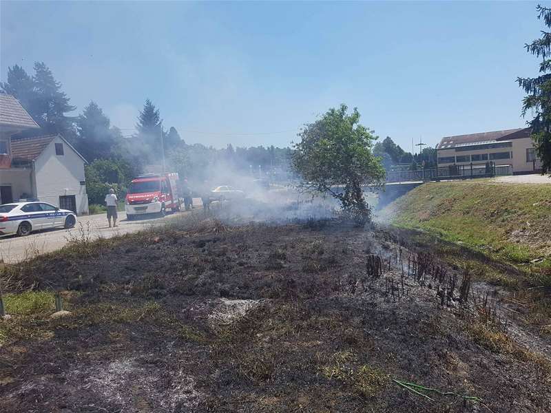 požar niske trave i raslinja.jpg
