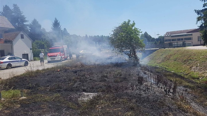 požar niske trave i raslinja.jpg