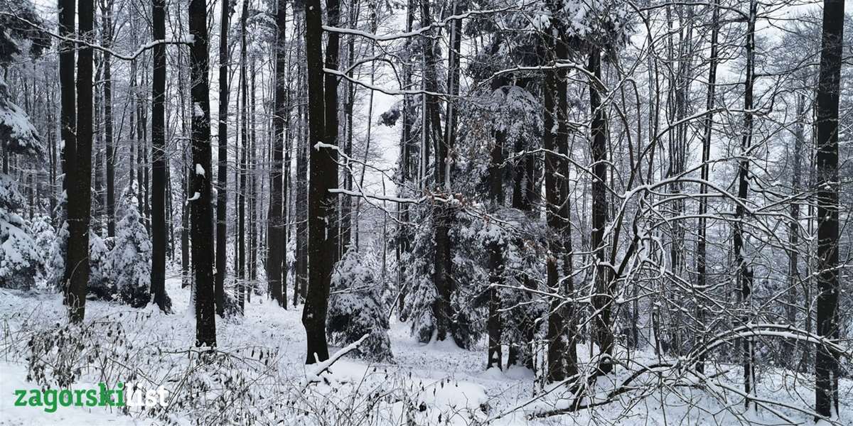 vrijeme zima snijeg (5).jpg