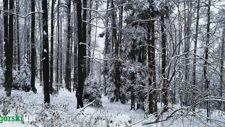 vrijeme zima snijeg (5).jpg