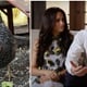 Princ Harry i Meghan Markle udomili su kokoš. Njeno ime je puno simbolike