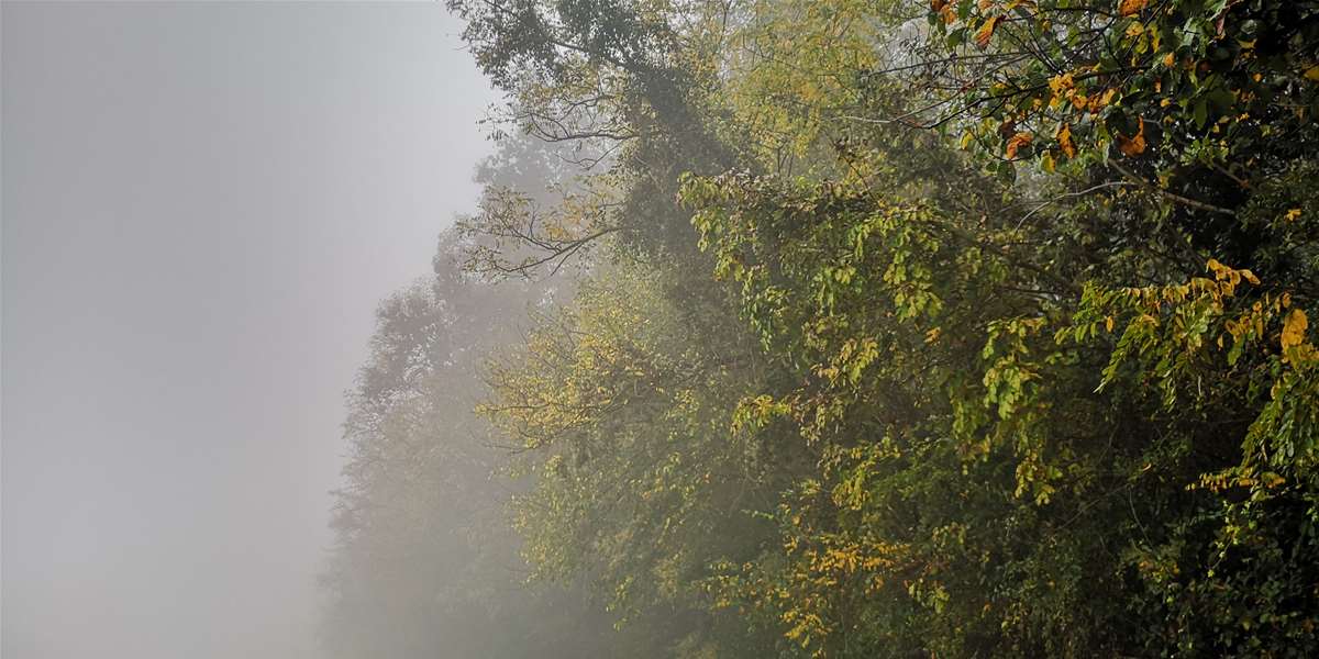 vrijeme jesen magla (5).jpg