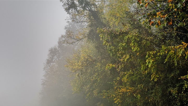 vrijeme jesen magla (5).jpg
