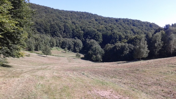 Vučikovec - pogled na livadu (11.8.2019.).jpg