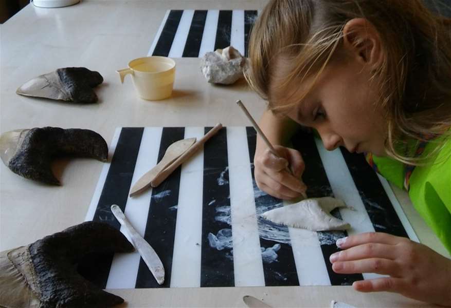 DANI KRAMBERGERA 2.jpg