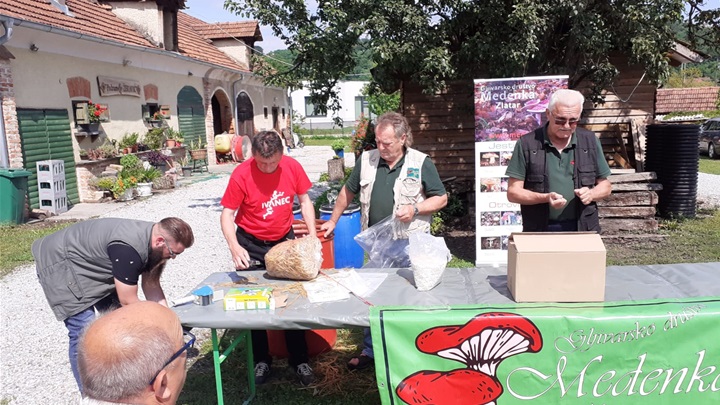 ljeto u zlataru (2).jpg