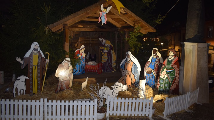 badnjak mb 2022 3.JPG