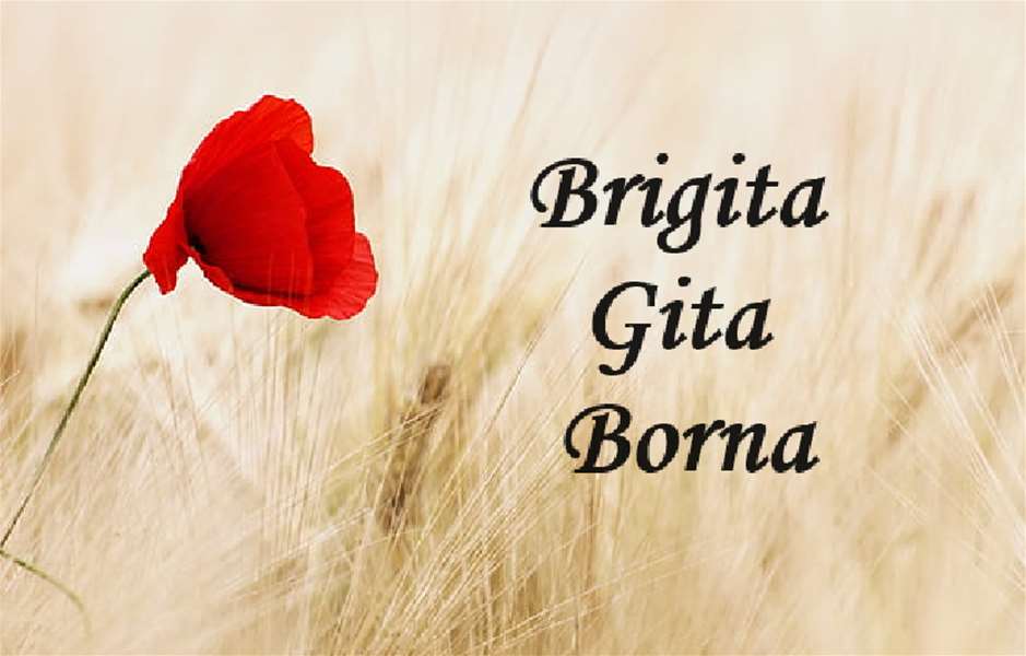 imendan brigita gita borna.png