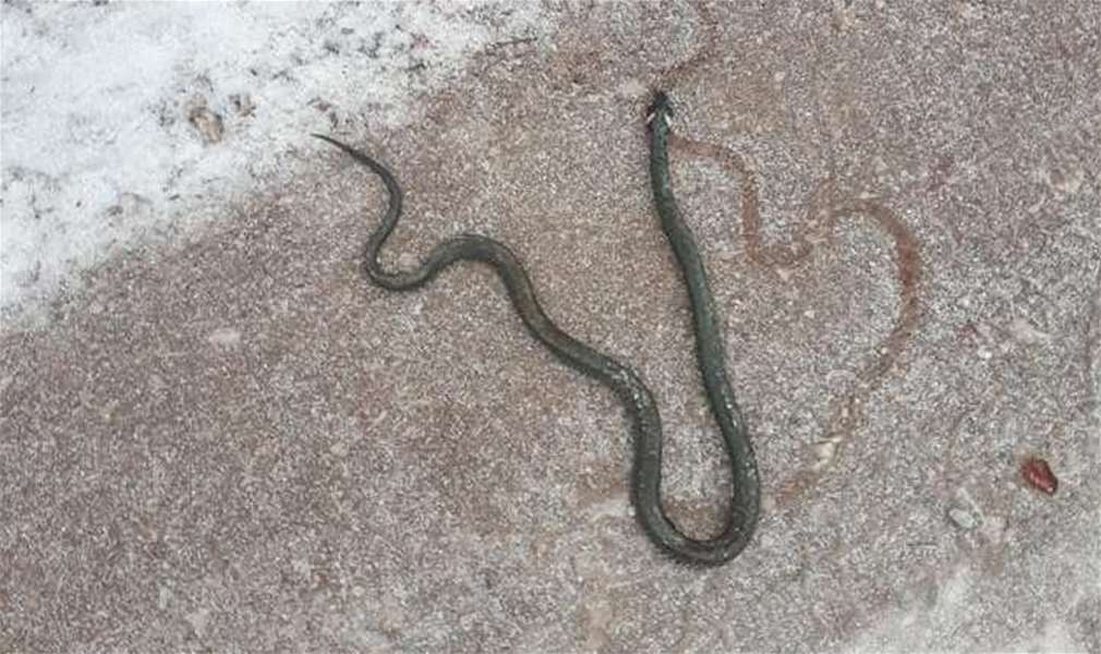 Planinari Varaždinske županije/Dejan Buder