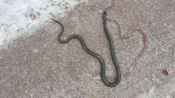 Planinari Varaždinske županije/Dejan Buder