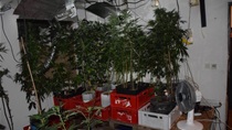 Na katu kuće u Velikoj Gorici policija otkrila ‘pogon’ za uzgoj marihuane