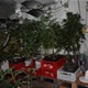 Na katu kuće u Velikoj Gorici policija otkrila ‘pogon’ za uzgoj marihuane