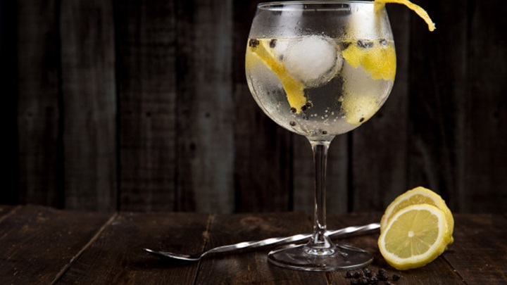 gin tonic
