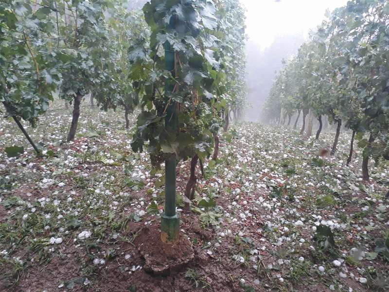 foto: Poslala čitateljica/Marija Bistrica