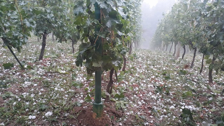 foto: Poslala čitateljica/Marija Bistrica