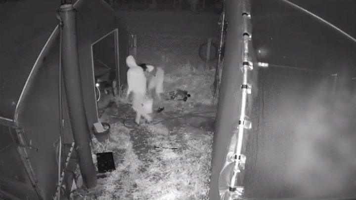 krađa kamera- facebook screenshot