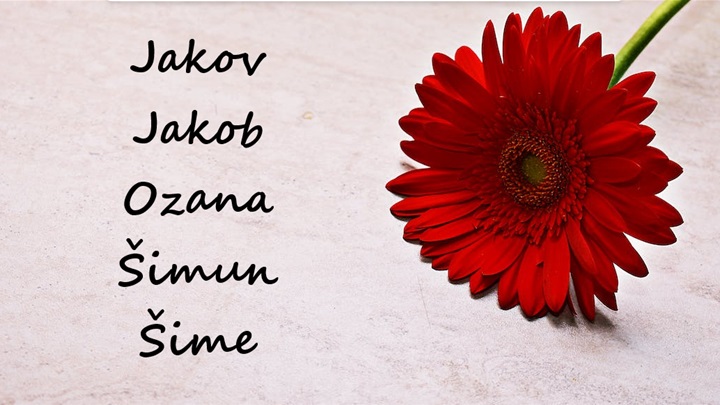 kaov jakob ozana šimun.png