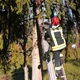 Nestašna maca zadala posla vatrogascima DVD-a Prišlin, popela se na čak 12 metara visine