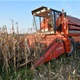 S njive mu ukrali 4 tone kukuruza, policija traži lopove