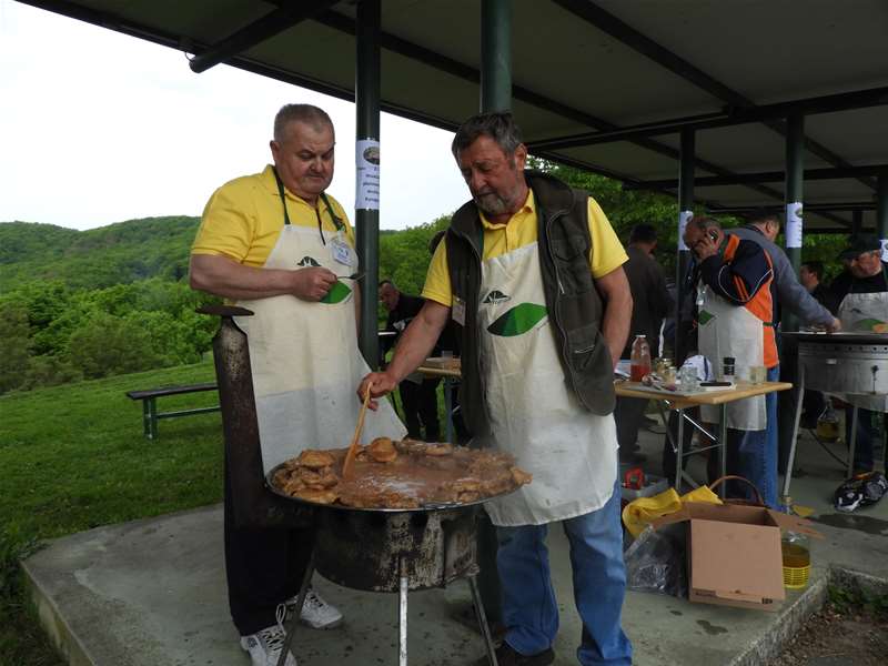 kotlovina pregrada 2019 (6).jpg