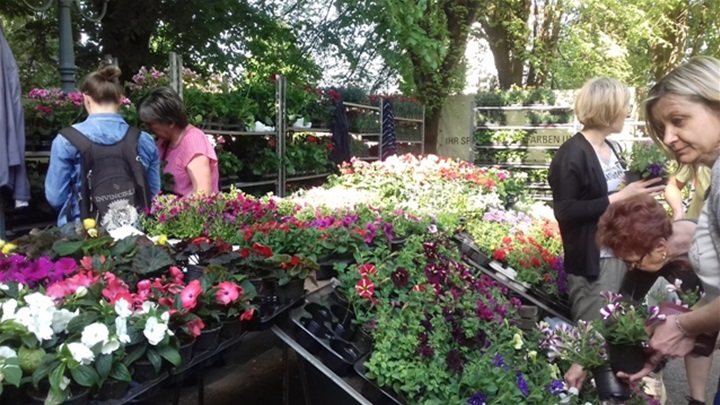 sajam cvijeća 6.jpg