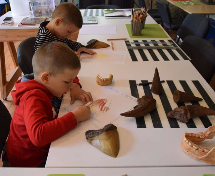 DANI KRAMBERGERA 1.jpg