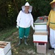 [VIDEO] 'Pčelarstvo skriva blago, to nije samo škola o pčelama nego o životu'