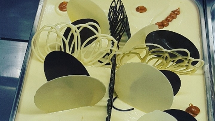 2017-03-24 11.55.36.jpg