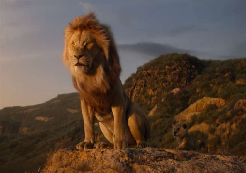 kralj lavova.jpg