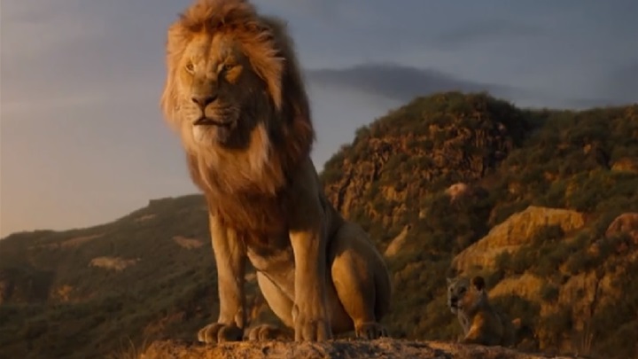 kralj lavova.jpg
