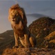 Sinkronizirani animirani film 'Kralj lavova' u kinu na otvorenom u Tuhlju ovog petka
